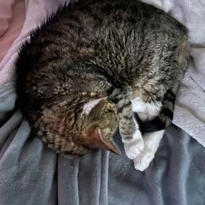 Meet your Posher, Rena